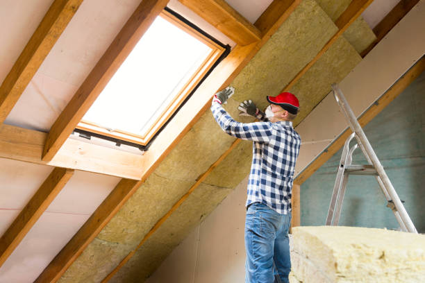 Best Commercial Insulation Services  in Trappe, MD