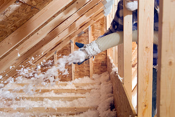 Types of Insulation We Offer in Trappe, MD